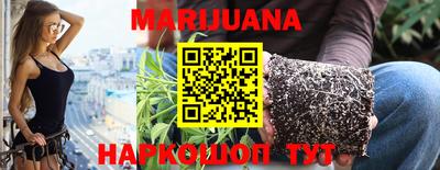 сатива Новозыбков