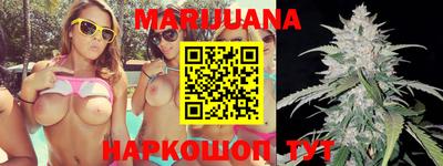 сатива Новозыбков
