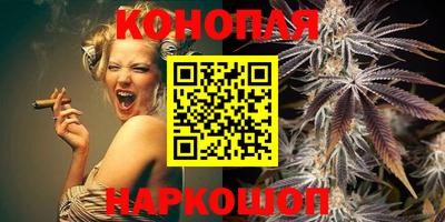 сатива Новозыбков