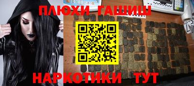 сатива Новозыбков
