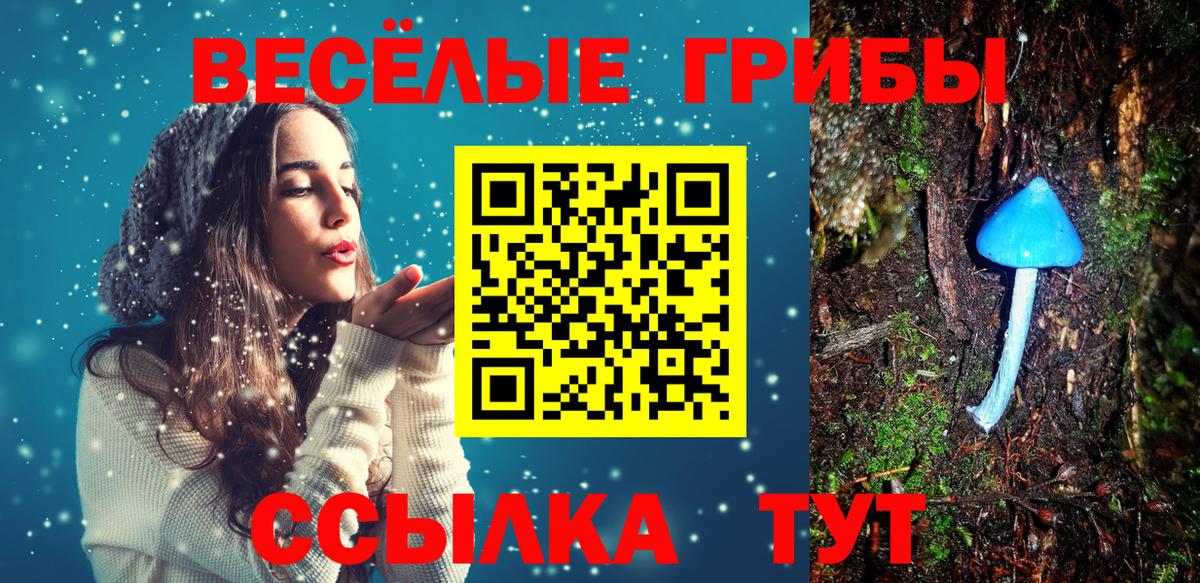 Галлюциногенные грибы мухоморы Юрга