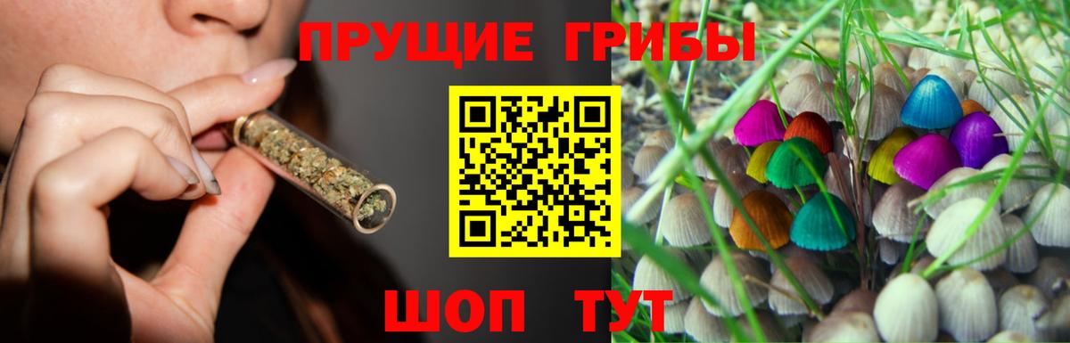 Юрга  Псилоцибиновые грибы ЛСД  Вход с VPN 